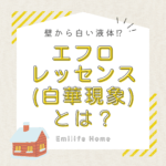 壁から白い液体！？エフロレッセンス（白華現象）とは？